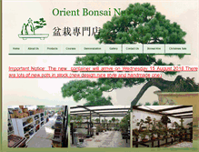 Tablet Screenshot of orientbonsai.com.au